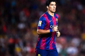 全面解析：完美体育