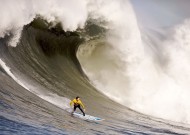 完美体育运营中心平台使用技巧深度分析（实测）