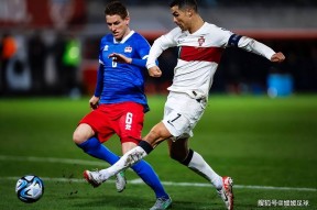 完美体育品牌-关于意大利-战胜瑞典欧预赛克斯坦多帝奥表现出色的信息