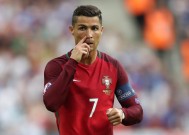 平台服务体系中完美体育官网的表现深度分析